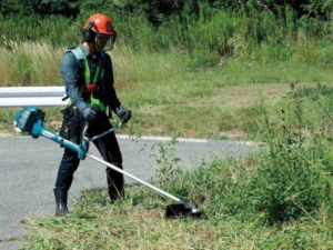 CORSO </br>"UTILIZZO IN SICUREZZA DEL DECESPUGLIATORE"